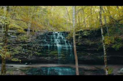 Video Thumbnail - youtube - For the Love of Columbia, Tn Outdoors