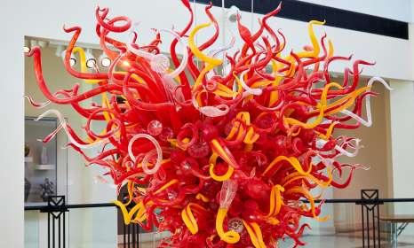 Chihuly at Columbia Museum of Art