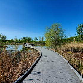 Copy of Ottawa National Wildlife Refuge