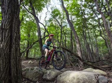 Mountain Biker
