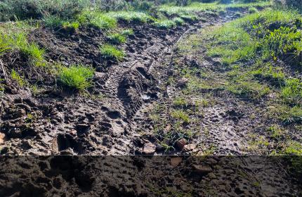 Ruts and other trail damage on a singletrack trail caused by riding in muddy conditions