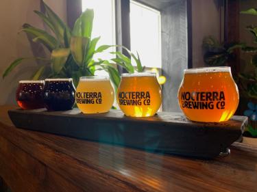 Flight of different colored beers on wooden counter at Noctera Brewing