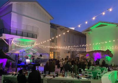 An outdoor reception with string lights and a white building lit with green and purple lights