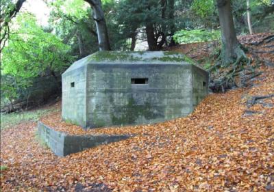 Pill Box, Hartslock Woods