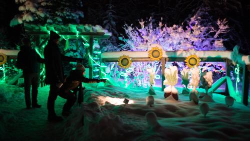 Winter Lights at the Botanical Gardens