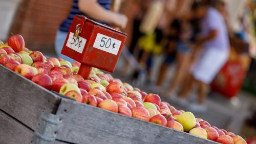 Nappanee-Apple-Festival-Blog