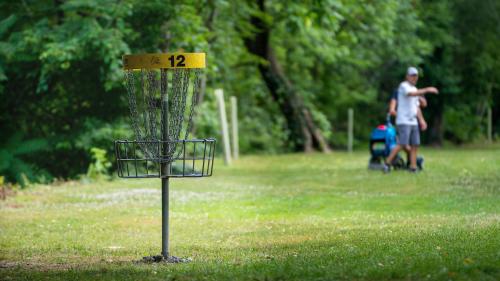 Disc golf player throwing disc to goal 12