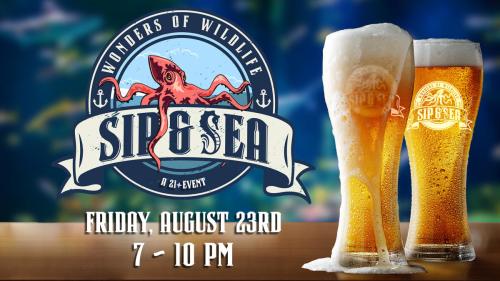 Sip & Sea