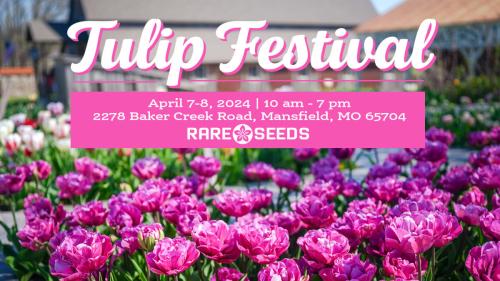 Baker Creek Tulip Festival 2024
