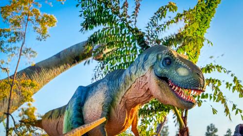Discovery Cube Dino Quest