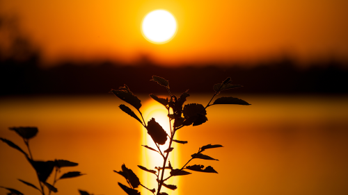 Sunset on Wisconsin River Flowage