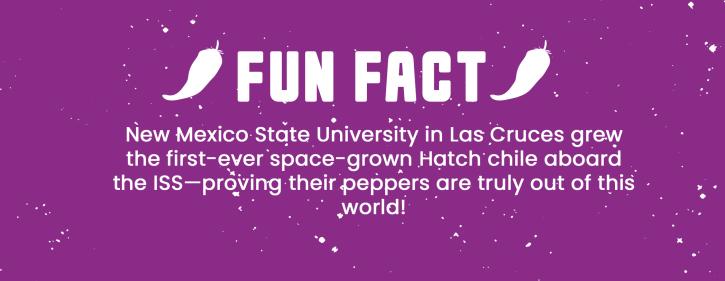 Fun Fact Chile Space