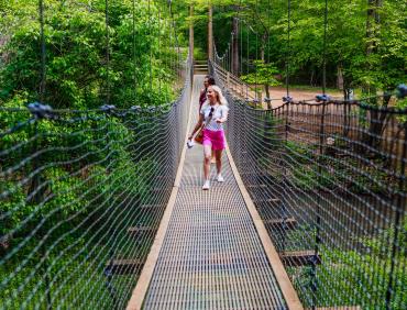 Greenway bridge