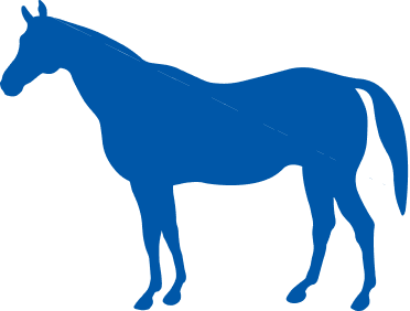 BlueHorse