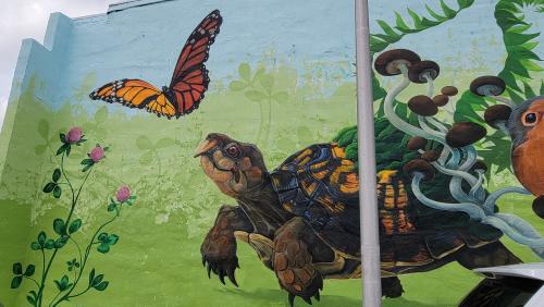 Turtle Mural