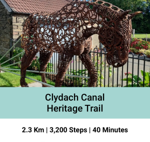 Screenshot of the Tawe Trails app.