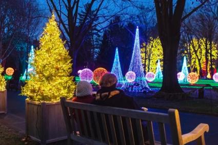 Winterlights at Newfields (Photo courtesy of Newfields Facebook page)