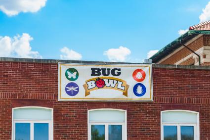 Bug Bowl banner at Spring Fest