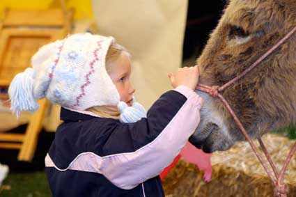 Purdue Spring Fest - child with donkey