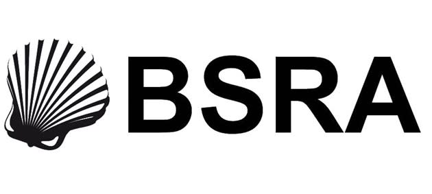 Logo of the BRSA