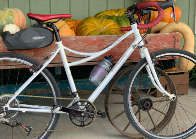 Bike farm Stand