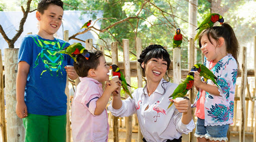 san-antonio-zoo-parrots