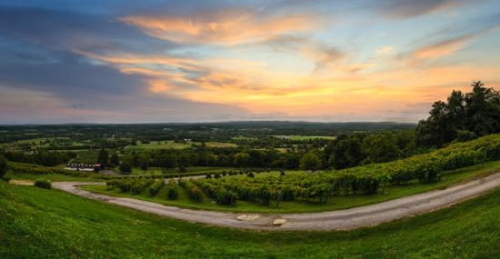 Bluemont Winery