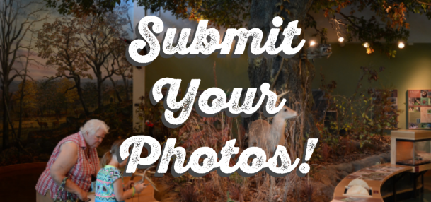 Submit photos through October 6 to be used in our visitor center murals!