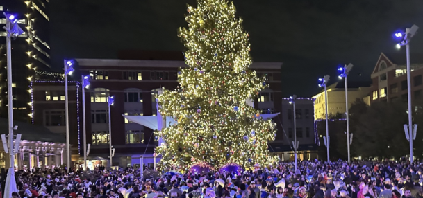 SSQ Tree Lighting