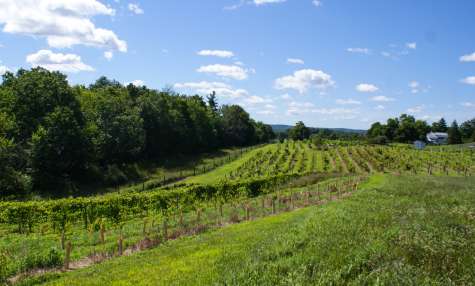 Day Trip Ideas Around the Capital Region & Beyond