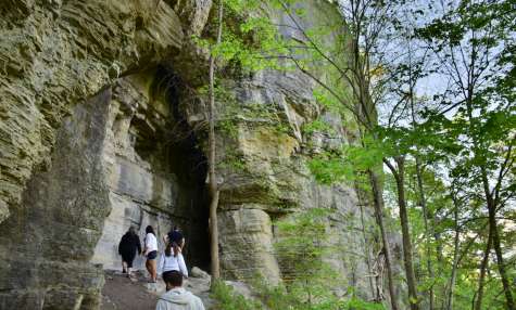 Free Parking: Explore Albany County's parks