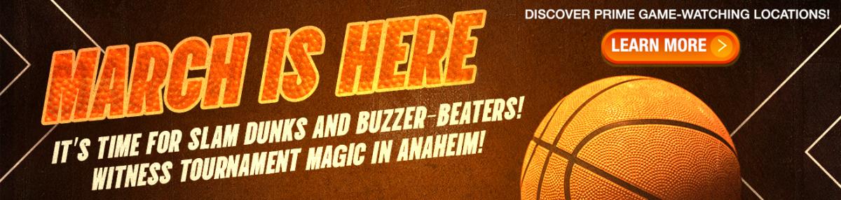 NCAA Web Banner