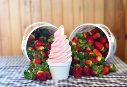 Bush n vine ice cream