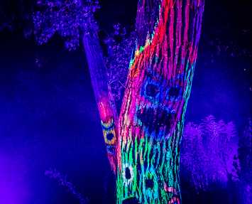 Enchanted Hollows at Denver Zoo