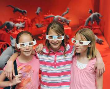 denver-art-museum-fox-games