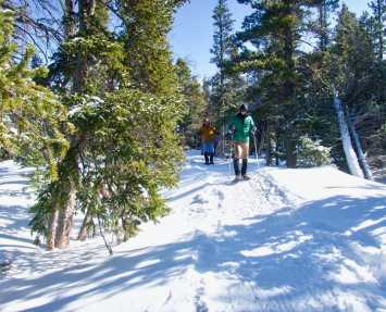 Snowshoeing near Denver