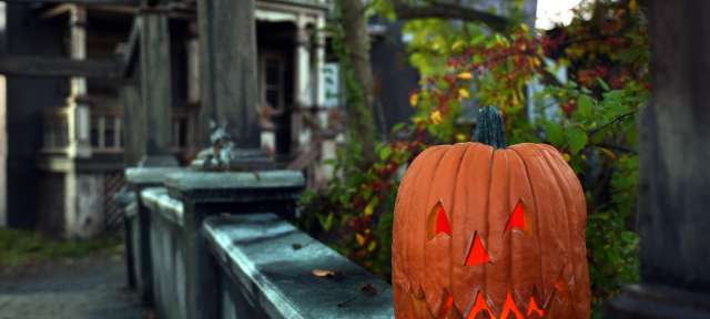 Halloween In Bucks County