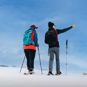 Things to do winter