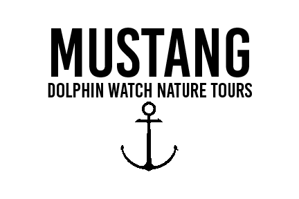 Black logo reading "Mustang Dolphin Watch Nature Tours" over a simple black anchor.
