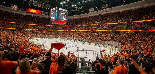 Anaheim Ducks Fans at Honda Center