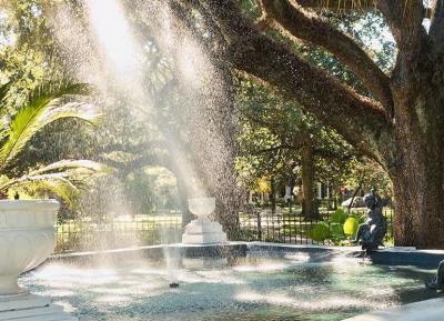 a sunlit park with trees in mobile alabama