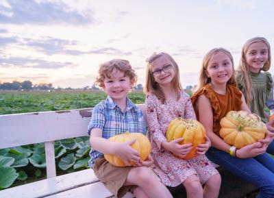 Dixie Maze