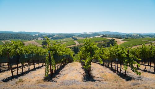Sustainably SLO CAL