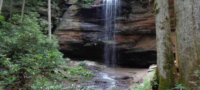 Moore Cove Falls