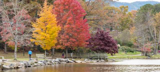Late Fall Color at Lake Tomahawk
