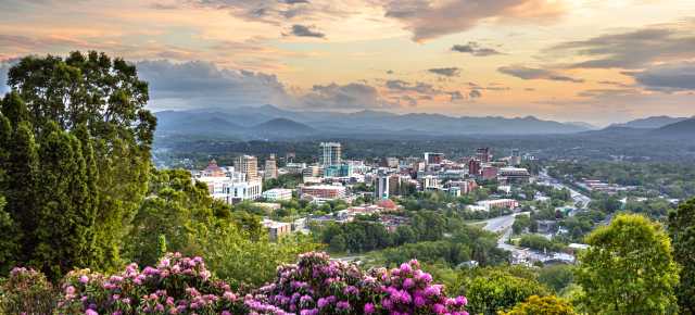 Asheville, NC skyline with beautiful rhododendron blooms
