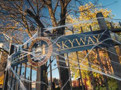 Albany Skyway Halloween Fall