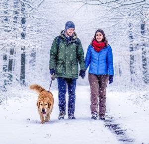 Sheldons Marsh Winter
