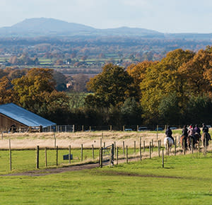 Image shows a group trekking through the paddock on horseback at Cannock Chase Trekking Centre