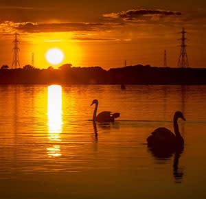STAF - Blog Image - Chasewater by @zort70 300x290